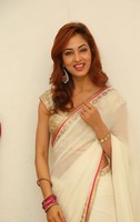 Vidisha in Saree Stills